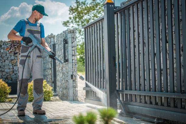 Best Gutter Cleaning  in Starkville, MS
