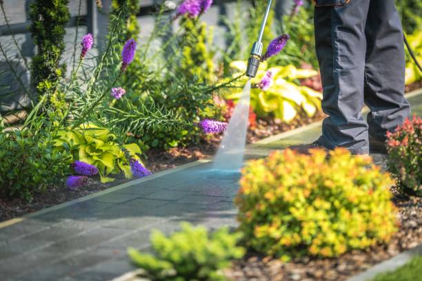 Best Dumpster Area Cleaning  in Starkville, MS
