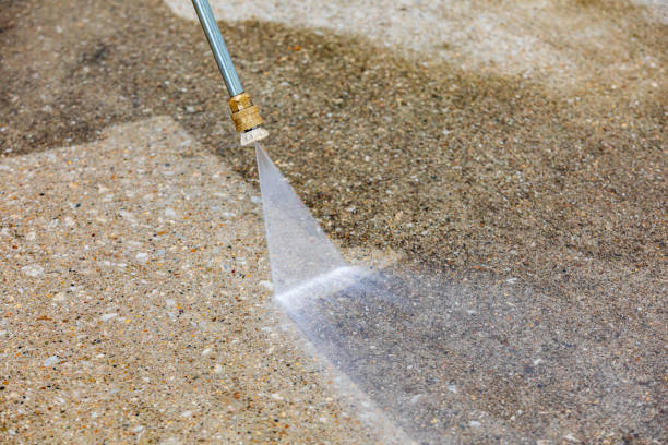 Best Driveway Pressure Washing  in Starkville, MS