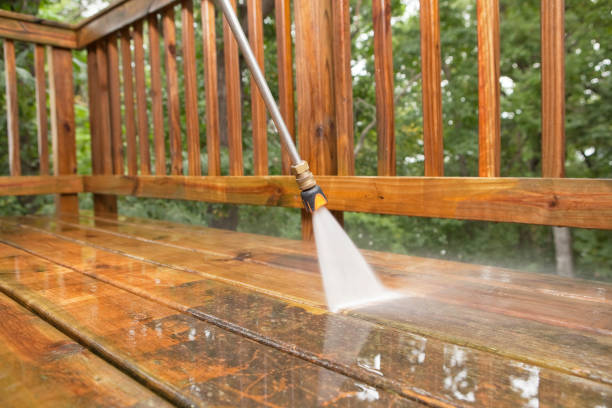 Best Building Exterior Washing  in Starkville, MS